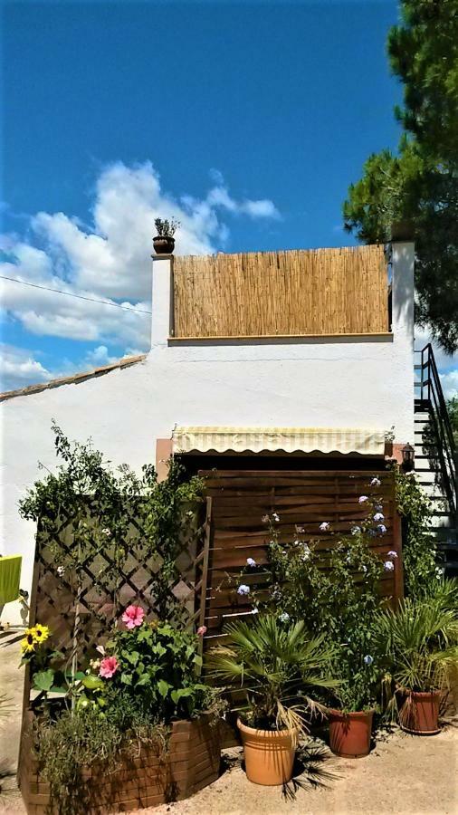 Villa La Casita Manacor  Exterior foto